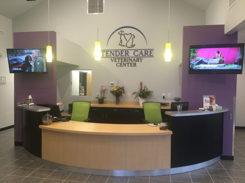 Tender Care Veterinary Center 10 Photos 35 Reviews Pet Groomers 8036 Meridian Park Dr Falcon Co United States Phone Number Yelp