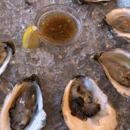 Oysters Oysters