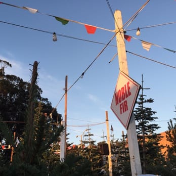 Emerald Forest Christmas Trees & Great Pumpkin Patch - Christmas Trees Near Me - San Francisco, California