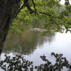 Gaststätte Sibirien GmbH