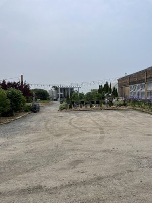 Traynor Family Vineyard by null