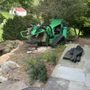 Photo of Stump Master