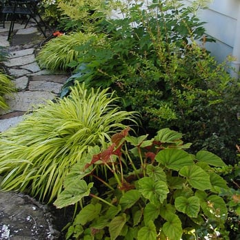 Plan-it Earth Design - Colorful plantings along a winding pathway in SE Portland - Landscape Architects or Designers Near Me Plan-it Earth Design - Colorful plantings along a winding pathway in SE Portland - Landscape Architects or Designers Near Me