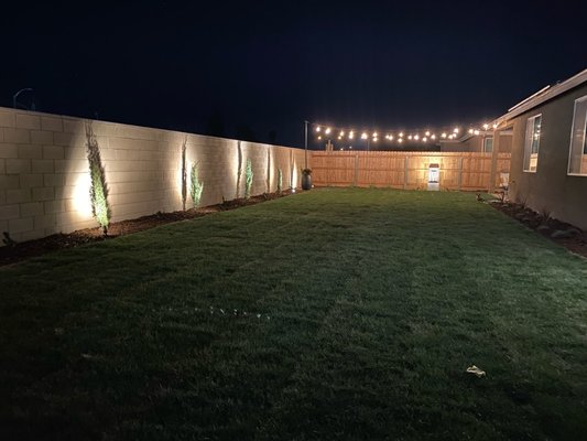 new back yard from the pipes In the ground up - This is a backyard we designed with the customer. From the pipes in the ground. To the type of bark and plants for the flower bed. The lighting they wanted. Even the type of grass they wanted. came put amazing