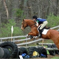 Stonelea Farm
