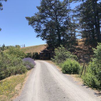 Monte-Bellaria Di California - Narrow path for cars - Farms Near Me - Sebastopol, California Monte-Bellaria Di California - Narrow path for cars - Farms Near Me - Sebastopol, California