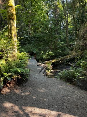 Schmitz Preserve Park by null