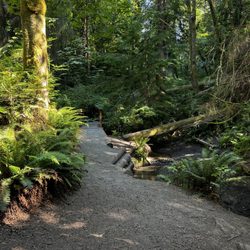 Schmitz Preserve Park