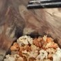Photo of Kernels Popcorn