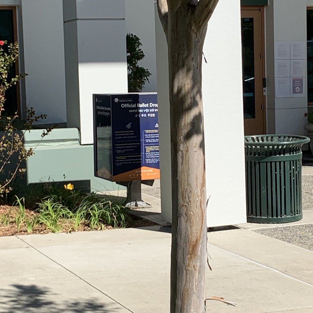 Livermore - Ballot drop box for nov 2020 elections - Local Flavor Near Me Livermore - Ballot drop box for nov 2020 elections - Local Flavor Near Me