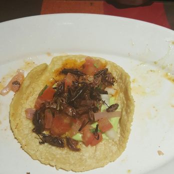 Restaurant Mole Del Rey - Mexican Near Me - Bell, California