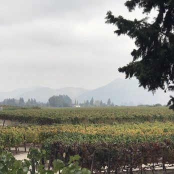 Concha y Toro - View of the Andes in the background - Wineries Near Me - Pirque, RM Concha y Toro - View of the Andes in the background - Wineries Near Me - Pirque, RM