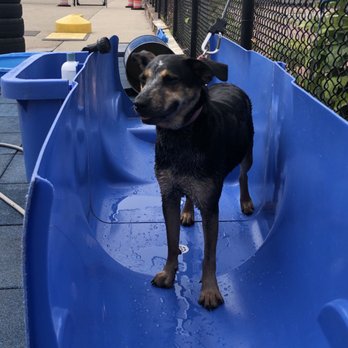 Jackson Bark - Dog Parks Near Me - Chicago, Illinois