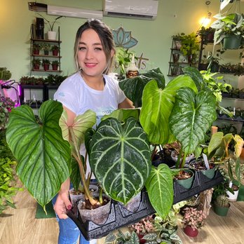 Succulents Empire - Nurseries & Gardening Near Me - Orlando, Florida Succulents Empire - Nurseries & Gardening Near Me - Orlando, Florida