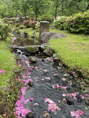 Yangmingshan National Park by null