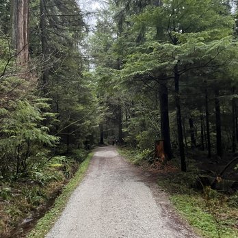 Stanley Park - Parks Near Me - Vancouver, British Columbia Stanley Park - Parks Near Me - Vancouver, British Columbia