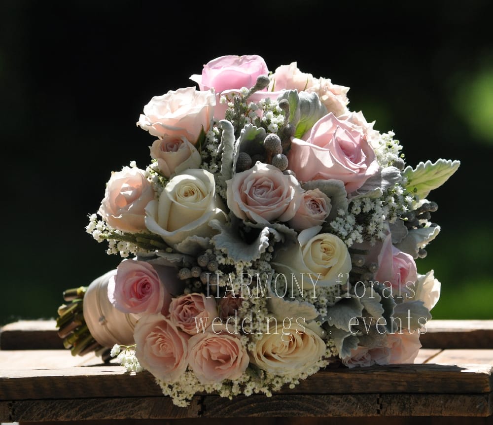 HARMONY FLORALS Updated September 2024 Ottawa, Ontario Florists