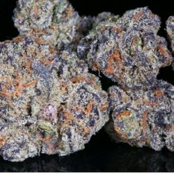 House Of The Purp - Purple Urpple