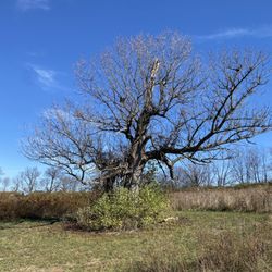 Hisle Farm Park