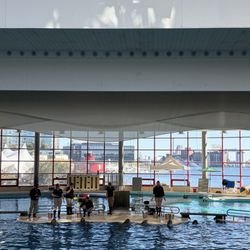 National Aquarium