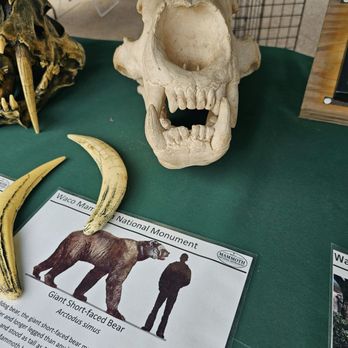 Waco Mammoth National Monument - Museums Near Me - Waco, Texas Waco Mammoth National Monument - Museums Near Me - Waco, Texas