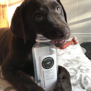Pressed Juicery - Pup loves Pressed too! - Juice Bars & Smoothies Near Me - Glendale, California Pressed Juicery - Pup loves Pressed too! - Juice Bars & Smoothies Near Me - Glendale, California