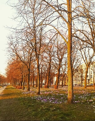 Parc de la Citadelle by null