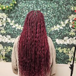 Jemea Glossy Braids