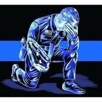 Kensington Carpet Outlet 19 Photos Flooring 6101 Ridge Rd Port Richey Fl Phone Number Yelp