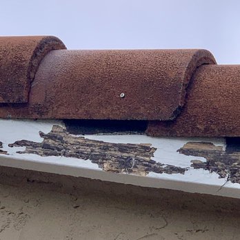 Kennedy Pest Control - Second story eave before removal - Pest Control Near Me - Escondido, California Kennedy Pest Control - Second story eave before removal - Pest Control Near Me - Escondido, California