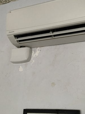 Herlong Mansion by null