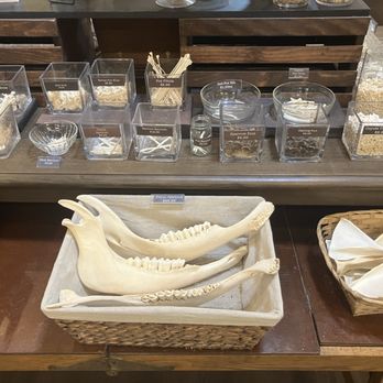 Curious Nature - Random sampling of bones for sale - Antiques Near Me - Phoenix, Arizona