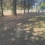 Photo of Monroe Dog Park