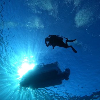 Dive Maui - Scuba Diving Near Me - Lahaina, Hawaii Dive Maui - Scuba Diving Near Me - Lahaina, Hawaii