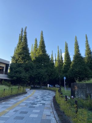SHAKE SHACK Gaien by null