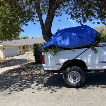 Quick Haulers - Landscape clean up - Junk Removal & Hauling Near Me Quick Haulers - Landscape clean up - Junk Removal & Hauling Near Me