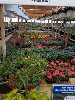 Menards - 13 Photos & 20 Reviews - Hardware Stores - 10555 E US Hwy 36, Avon, IN - Phone Number ...