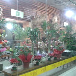 Mercado das Flores Avanhandava - Mercado das Flores Avanhandava