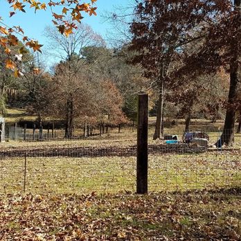Armnaleg Ranch - ArmnalegRach - Pet Breeders Near Me - Jacksonville, Texas