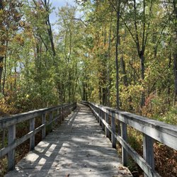 Huckleberry Swamp - Boardwalk Trail