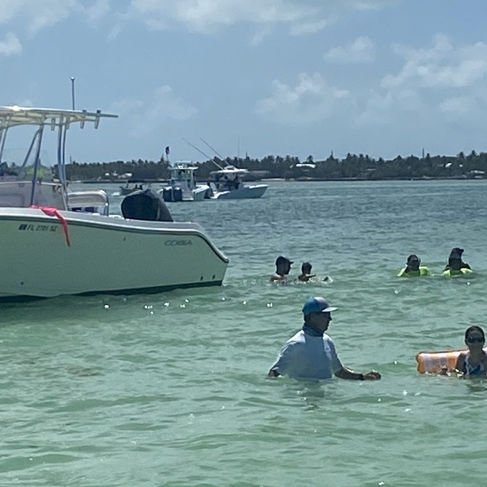 Wild Dolphin Tours - Boating Near Me - islamorada, Florida Wild Dolphin Tours - Boating Near Me - islamorada, Florida