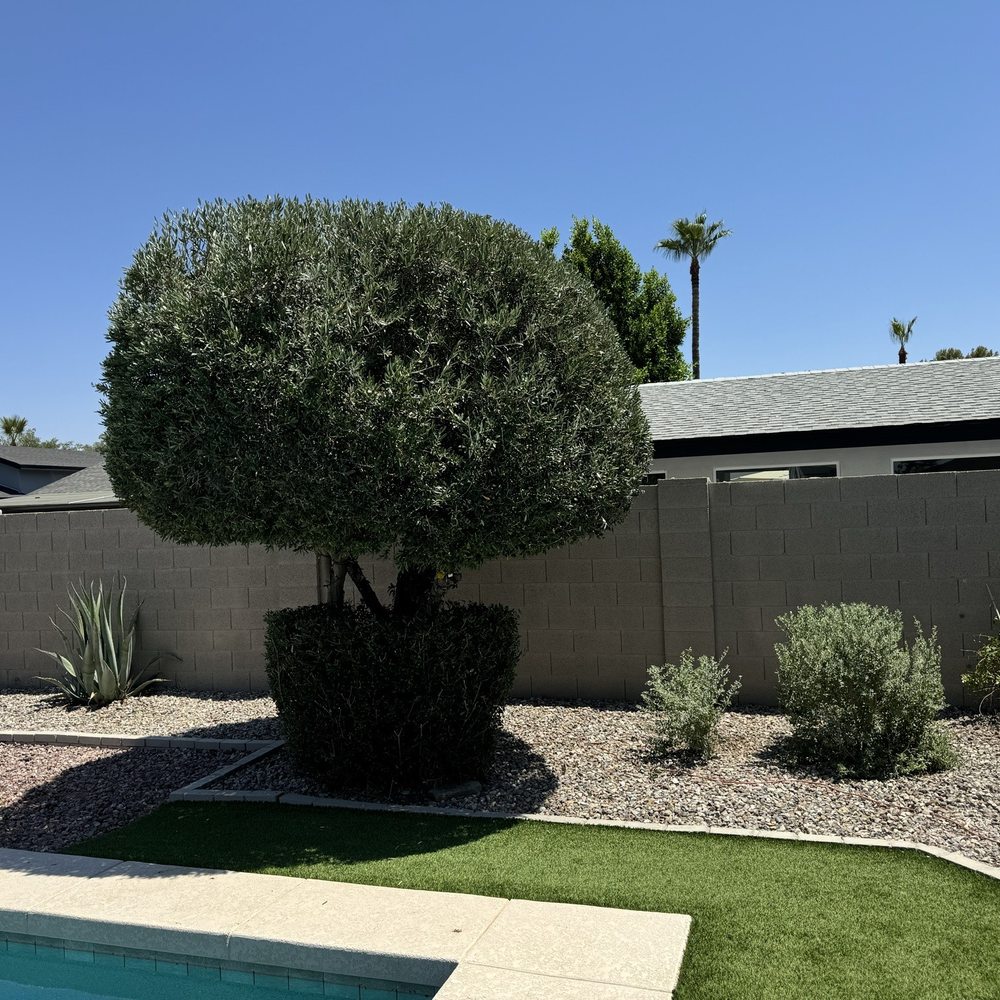 Geronimo Pacheco Landscaping - Landscaping Near Me