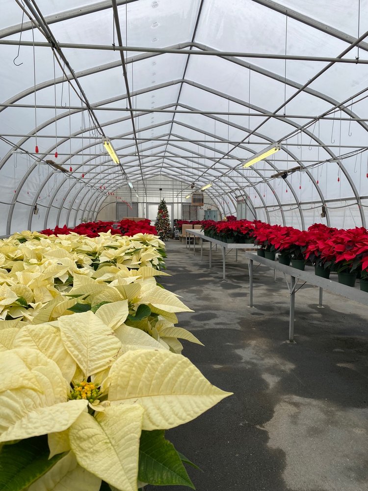 FREY’S GREENHOUSE 36 Photos 1501 Columbia Ave, Lancaster, PA Yelp