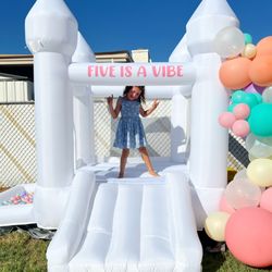 Wild Child Arizona - Toddler Bounce House Rental with custom vinyl and balloon garland.