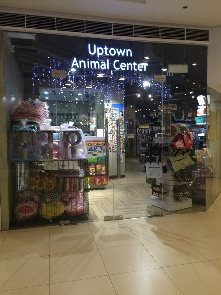 UPTOWN ANIMAL CENTER Updated September 2024 216 Katipunan Avenue
