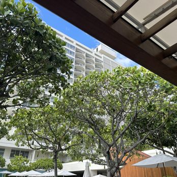 The Grove Restaurant & Bar - Cocktail Bars Near Me - Honolulu, Hawaii The Grove Restaurant & Bar - Cocktail Bars Near Me - Honolulu, Hawaii