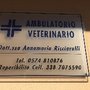 Photo of Dott.ssa Annamaria Ricciarelli