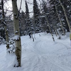 Beaver Mountain Ski Resorts, Weather & Snow Report in Logan gift card