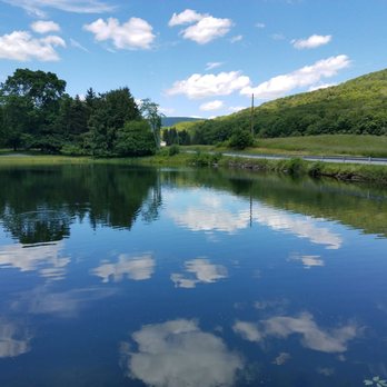 Beaverkill Trout Hatchery - a view of a pond and a road - Meat Shops Near Me - Lew Beach, New York