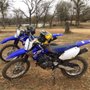 Photo of Murphy's MX